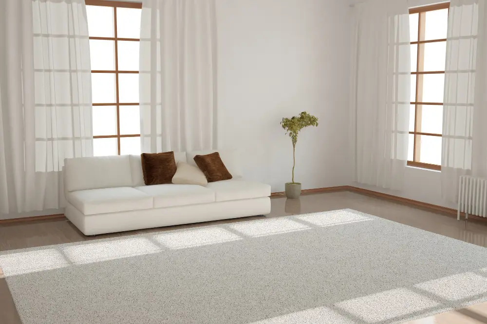 St. Petersburg carpet cleaning