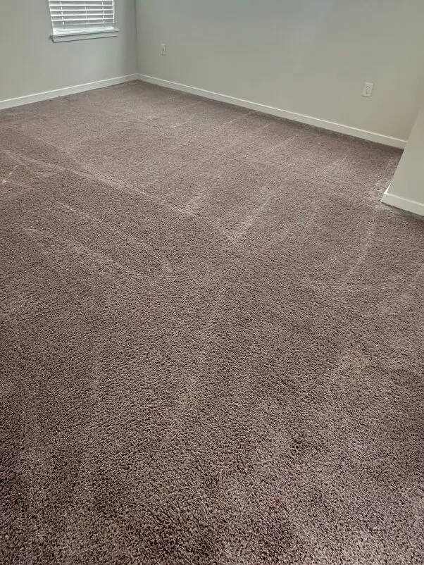 residential carpet cleaning tampa